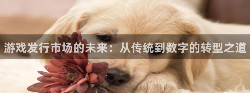 usdt钱包别名
