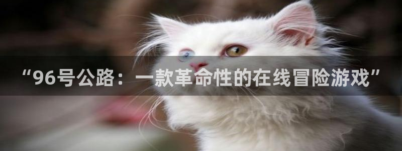 查询usdt余额接口